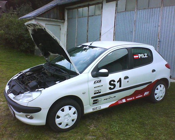 Mein Peugeot 206 WRC - 