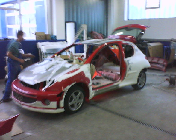 Projekt: Peugeot 206 WRC - 