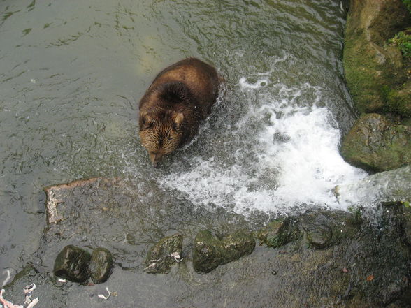 "" SPARVEREINAUSFLUG !!!!!!!!!!! - 