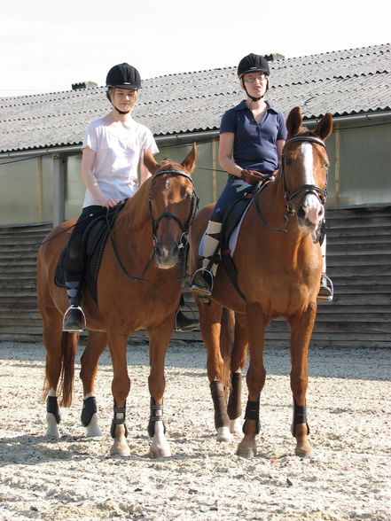 Reiten =) - 