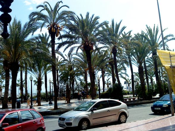 Alicante (Spanien) - 