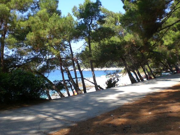 Mali Losinj August 2008 - 