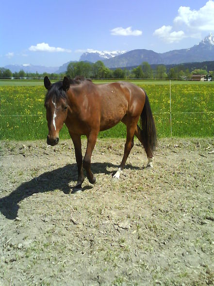 Meine Mirabelle und der kleine Chester!! - 