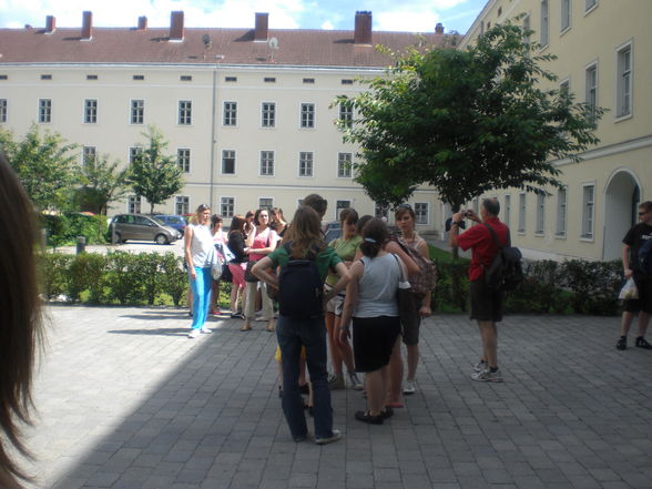 Ausflug Dürnstein - 