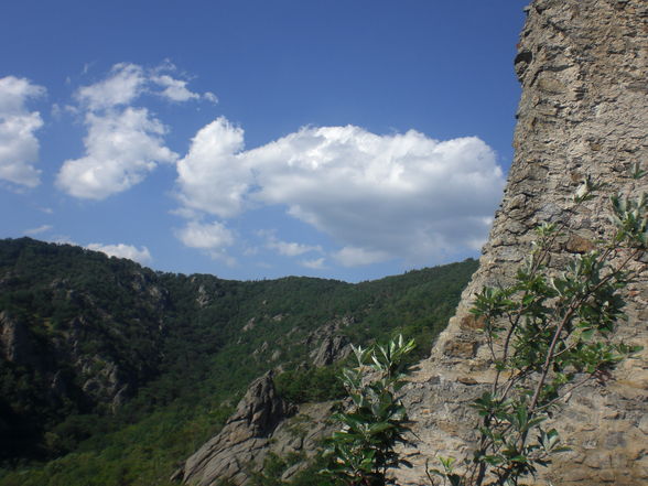 Ausflug Dürnstein - 