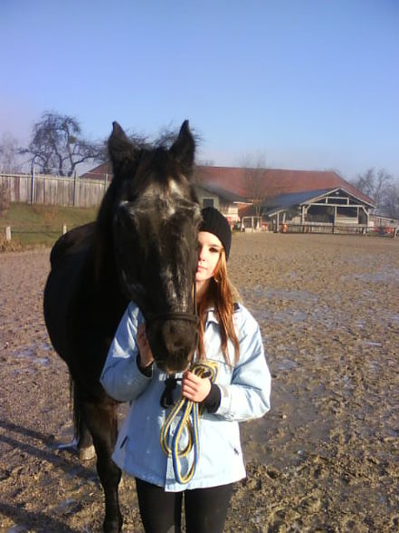 My HoRse aNd mE - 