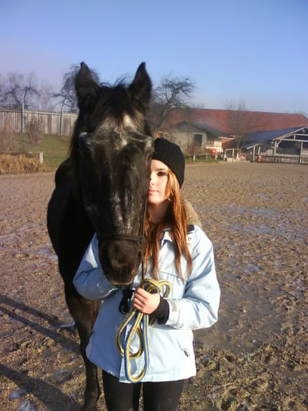 My HoRse aNd mE - 