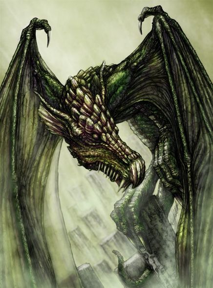 Drachen - 