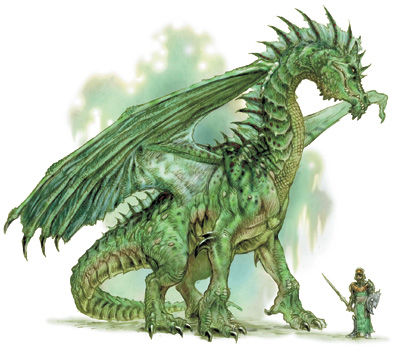 Drachen - 