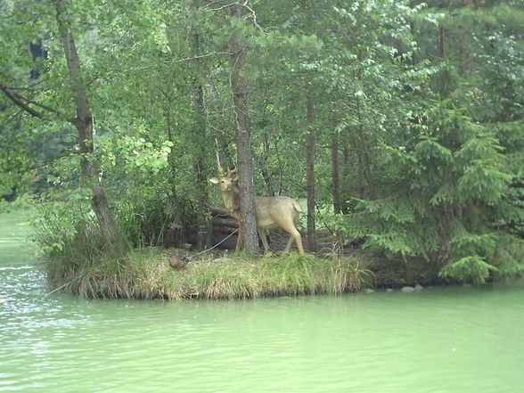 Bayern-Park - 