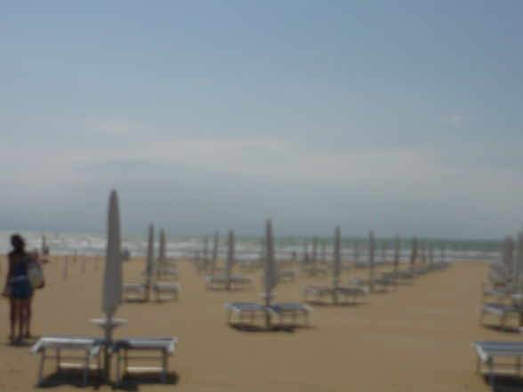 LignanO 2009** - 