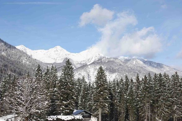 Schitour  auf die Bärenalm - 