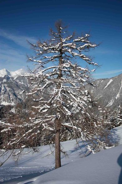 Schitour  auf die Bärenalm - 