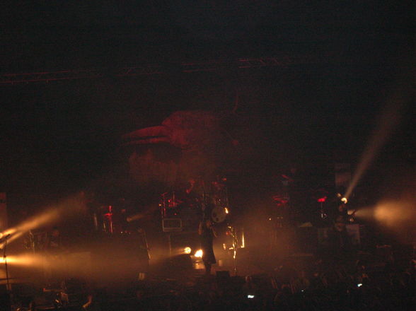 KoRn 20.2.08 - 