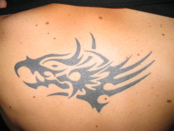 Piercing and Tatoos - 