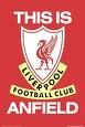 mein lieblingsverein Liverpool - 