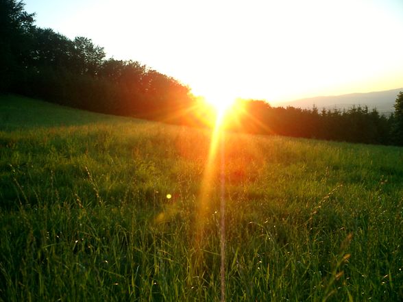 Die Schönheit der Natur... - 