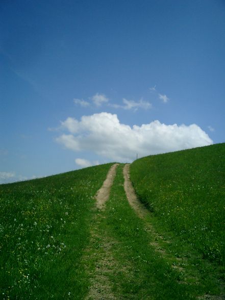 Die Schönheit der Natur... - 