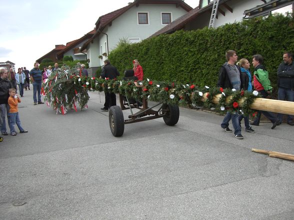 Maibaum Stehlen 05/2011 - 