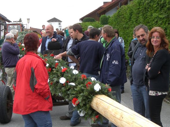 Maibaum Stehlen 05/2011 - 