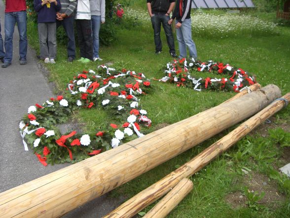 Maibaum Stehlen 05/2011 - 