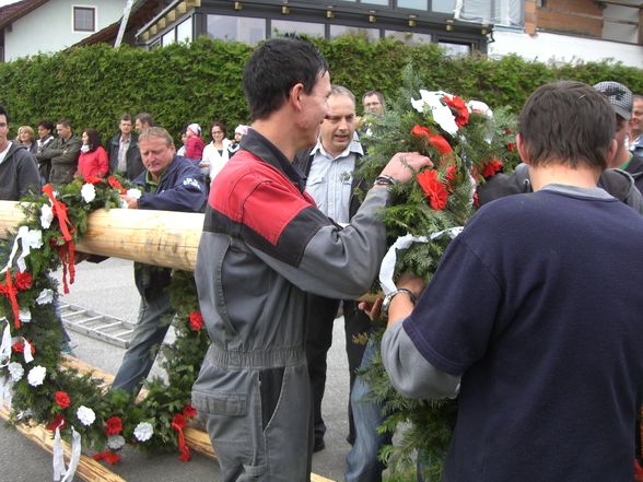 Maibaum Stehlen 05/2011 - 