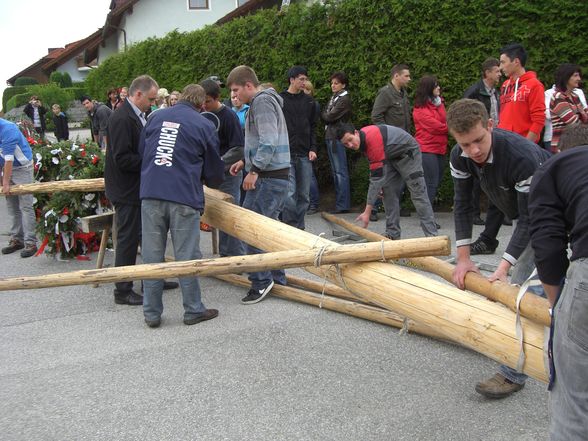 Maibaum Stehlen 05/2011 - 