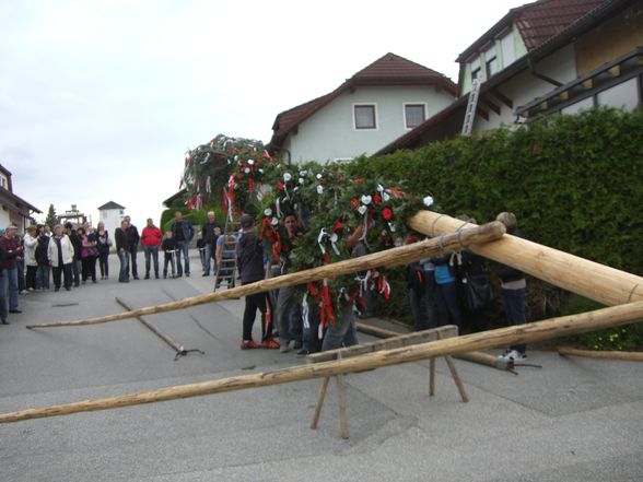 Maibaum Stehlen 05/2011 - 