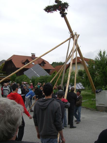 Maibaum Stehlen 05/2011 - 