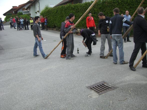 Maibaum Stehlen 05/2011 - 