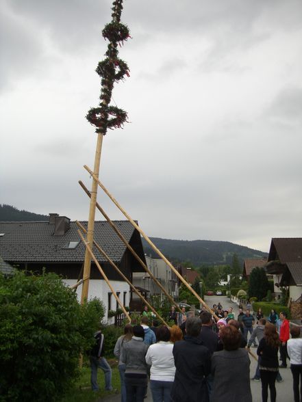 Maibaum Stehlen 05/2011 - 