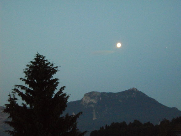 Mondsee Juni Juli  mehr 2008 - 