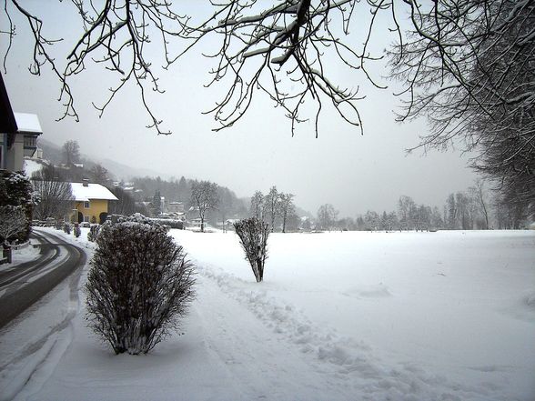 MONDSEE WINTER 12-18 FEBRUAR 2009 - 