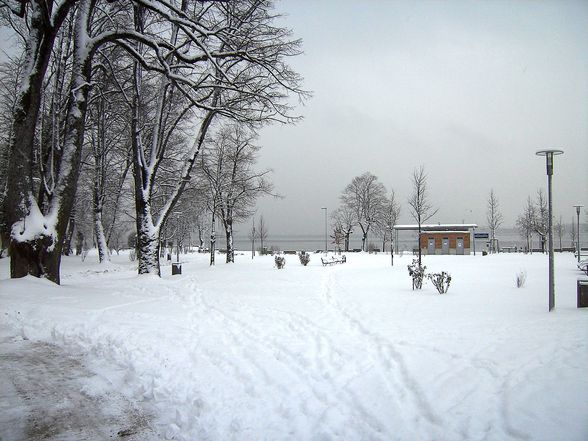 MONDSEE WINTER 12-18 FEBRUAR 2009 - 