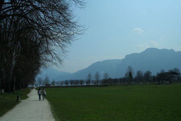 FRÜHLING MONDSEE AB 4.APRIL.2009 - 