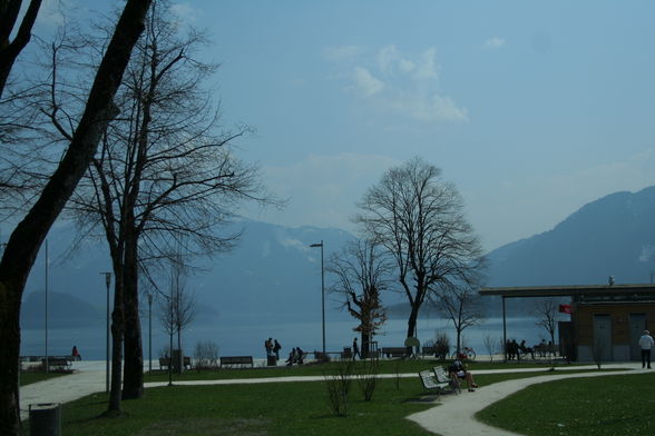 FRÜHLING MONDSEE AB 4.APRIL.2009 - 