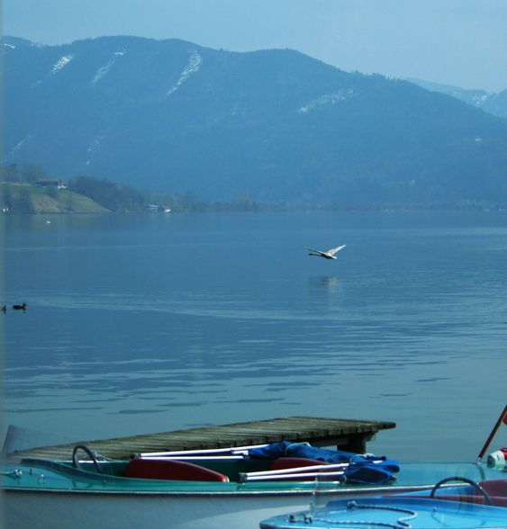 FRÜHLING MONDSEE AB 4.APRIL.2009 - 