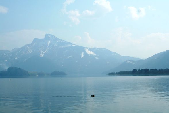 FRÜHLING MONDSEE AB 4.APRIL.2009 - 