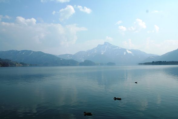 FRÜHLING MONDSEE AB 4.APRIL.2009 - 