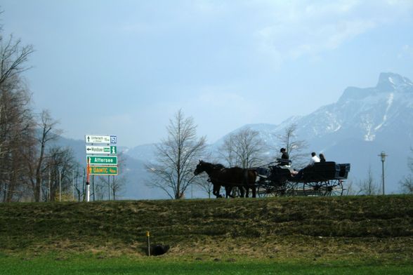 FRÜHLING MONDSEE AB 4.APRIL.2009 - 