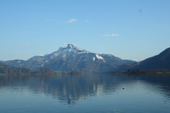 FRÜHLING MONDSEE AB 4.APRIL.2009 - 