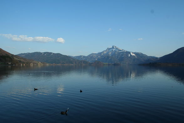 FRÜHLING MONDSEE AB 4.APRIL.2009 - 