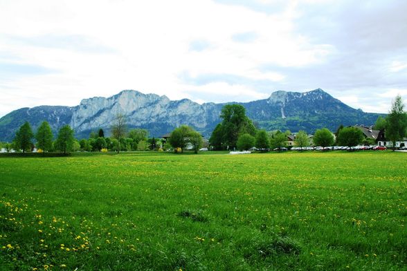 FRÜHLING MONDSEE 28 APRIL 09 - 