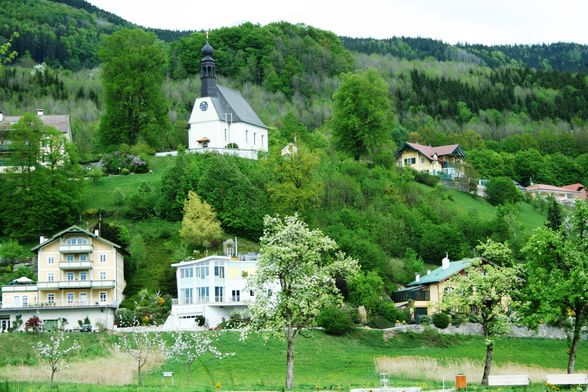 FRÜHLING MONDSEE 28 APRIL 09 - 