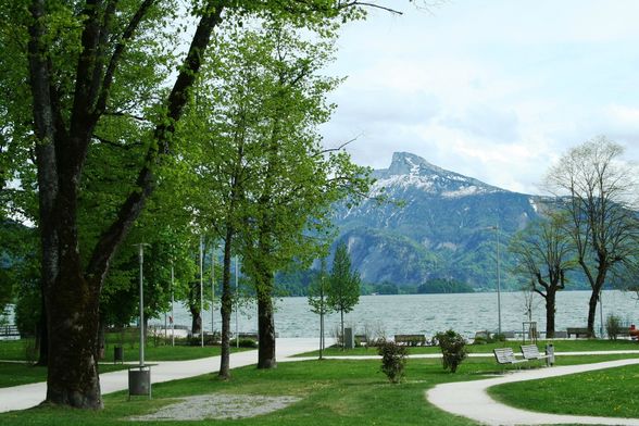 FRÜHLING MONDSEE 28 APRIL 09 - 