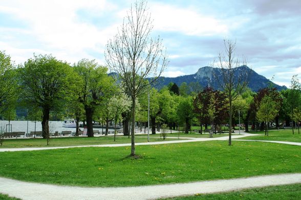 FRÜHLING MONDSEE 28 APRIL 09 - 