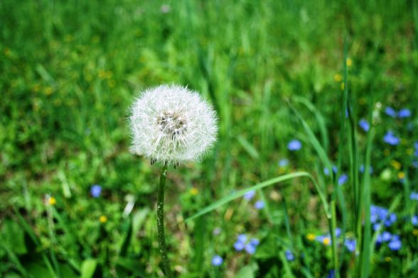 FAST SOMMER IN MONDSEE 7.5.09 - 