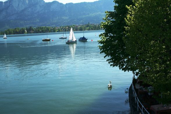 FAST SOMMER IN MONDSEE 7.5.09 - 