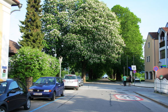 MONDSEE 10-11 MAI 2009 - 