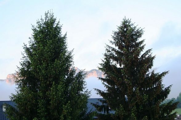 Mondsee  Mai 2009 auch vom Balkon aus - 